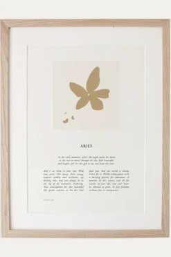 Aries 4